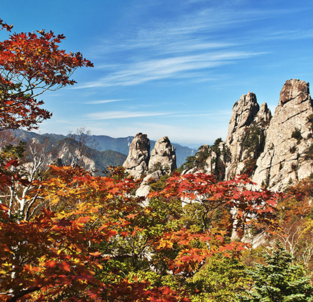 Autumn foliage at Seoraksan National Park with colorful mountains, the best time to visit Korea for hiking
