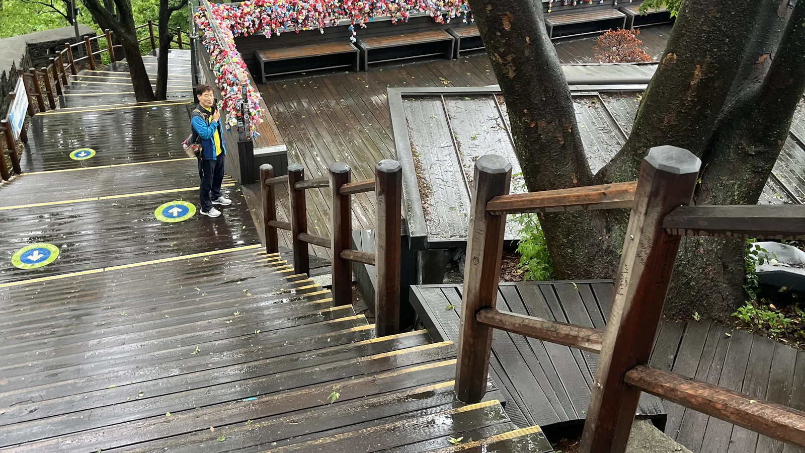 Namsan hiking trail wooden boardwalk stairs through the forest