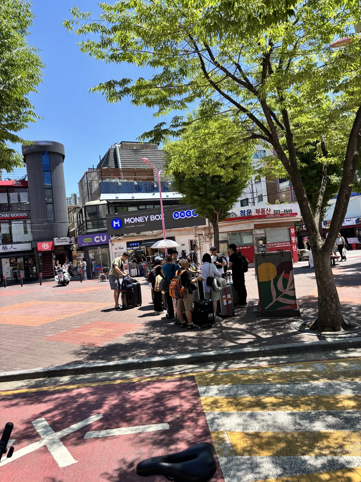 Open plaza in Hongdae during the day with people relaxing under the trees