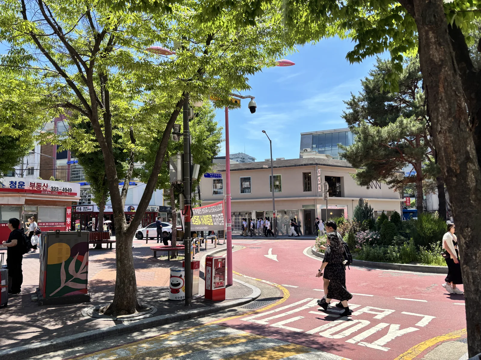 Tree-lined daytime street in Hongdae during the day with low foot traffic