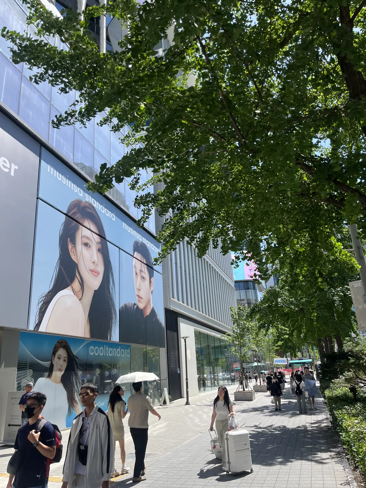 Tree-lined exit street near Hongik University Station leading into Hongdae