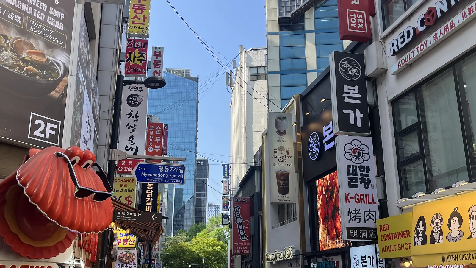 Myeongdong travel guide scene of a side street lined with Korean BBQ and restaurant signs