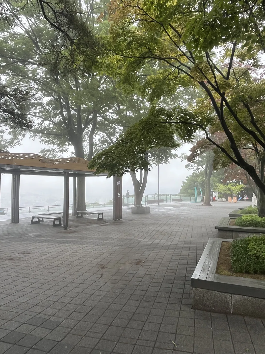 Namsan hiking trail path fading into thick fog near the summit