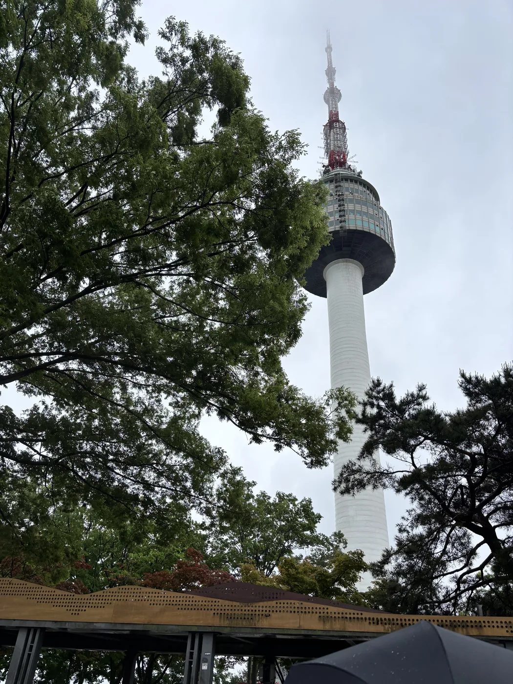 Namsan hiking trail view of N Seoul Tower through the trees near the summit