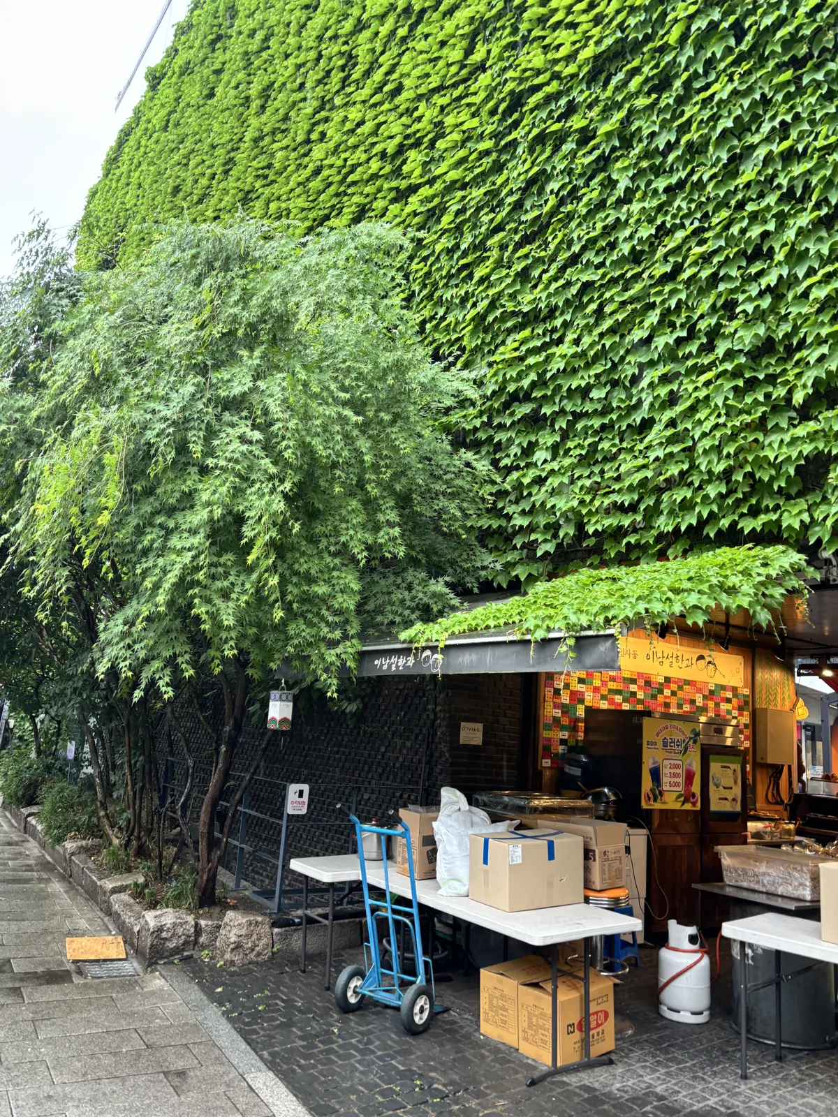 Myeongdong street food — real photo of Myeongdong