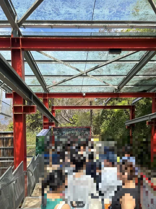blue mountains scenic railway review – visitors waiting in line to board the world’s steepest train at Scenic World Katoomba.