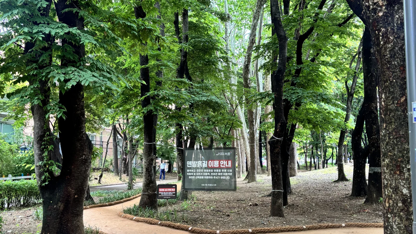 Tree-lined walking path along Yangjaecheon stream near Dogok-dong, Gangnam, Seoul