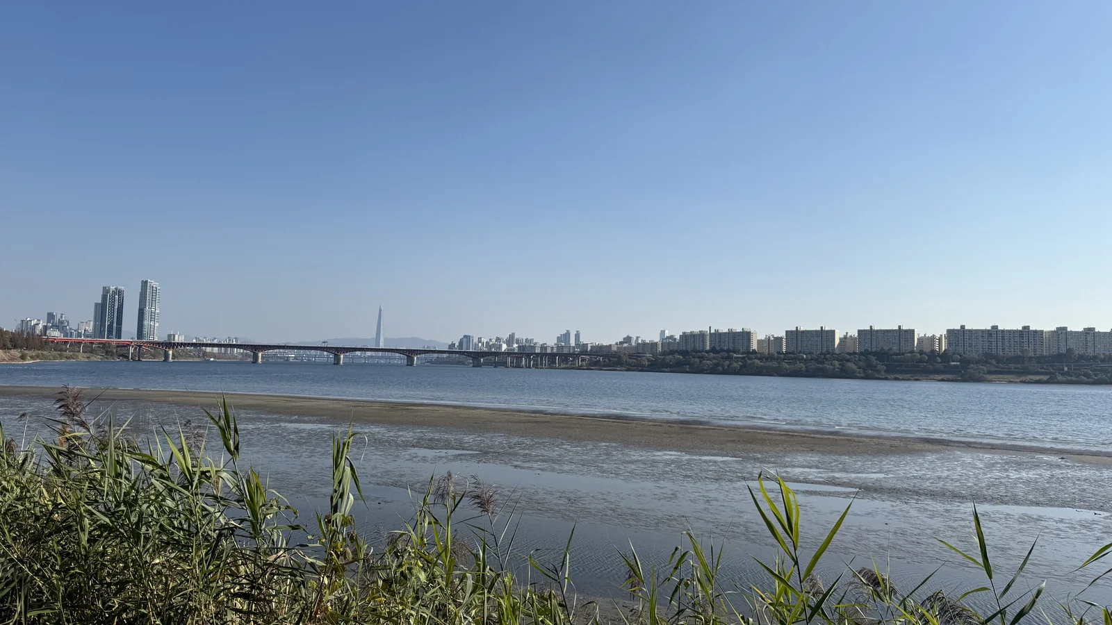 Seongsu-dong Seoul travel guide: the Seongsu and Seoul Forest skyline with the red Seongsu Bridge and Lotte World Tower seen across the Han River